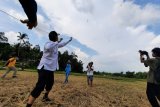 Festival layang-layang tradisional Pariaman lestarikan kearifan lokal dan tarik wisatawan