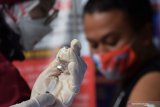 Petugas medis menyiapkan vaksin COVID-19 Sinovac dosis kedua yang akan disuntikkan kepada wartawan penerima vaksin di Puskesmas Tawangrejo,Kota Madiun, Jawa Timur, Rabu (10/3/2021). Vaksinasi COVID-19 dosis kedua tersebut diikuti sekitar 50 wartawan sebagai upaya penanggulangan pandemi COVID-19. Antara Jatim/Siswowidodo/zk