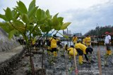 Gerakan Nasional Penanaman Mangrove. Karyawan PT ASDP Indonesia Ferry (Persero) menanam bibit mangrove di perkampungan nelayan Desa Deah Raya, Kecamatan Meuraxa, Banda Aceh, Aceh, Minggu (14/3/2021). Penanaman ribuan bibit mangrove di sejumlah provinsi, termasuk di Aceh itu merupakan bakti sosial penghijauan dalam rangka menyambut HUT ke-48 PT ASDP Indonesia Ferry (Persero) pada 27 Maret 2021 dan sekaligus mendukung program rehabilitasi mangrove nasional yang dicanangkan pemerintah dengan target seluas 150 ribu hektare per tahun. ANTARA FOTO/Ampelsa