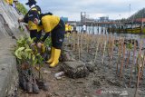 Gerakan Nasional Penanaman Mangrove. Karyawan PT ASDP Indonesia Ferry (Persero) menanam bibit mangrove di perkampungan nelayan Desa Deah Raya, Kecamatan Meuraxa, Banda Aceh, Aceh, Minggu (14/3/2021). Penanaman ribuan bibit mangrove di sejumlah provinsi, termasuk di Aceh itu merupakan bakti sosial penghijauan dalam rangka menyambut HUT ke-48 PT ASDP Indonesia Ferry (Persero) pada 27 Maret 2021 dan sekaligus mendukung program rehabilitasi mangrove nasional yang dicanangkan pemerintah dengan target seluas 150 ribu hektare per tahun. ANTARA FOTO/Ampelsa