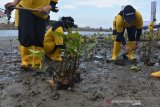 Gerakan Nasional Penanaman Mangrove. Karyawan PT ASDP Indonesia Ferry (Persero) menanam bibit mangrove di perkampungan nelayan Desa Deah Raya, Kecamatan Meuraxa, Banda Aceh, Aceh, Minggu (14/3/2021). Penanaman ribuan bibit mangrove di sejumlah provinsi, termasuk di Aceh itu merupakan bakti sosial penghijauan dalam rangka menyambut HUT ke-48 PT ASDP Indonesia Ferry (Persero) pada 27 Maret 2021 dan sekaligus mendukung program rehabilitasi mangrove nasional yang dicanangkan pemerintah dengan target seluas 150 ribu hektare per tahun. ANTARA FOTO/Ampelsa