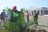 48 pohon kurma ditanam mengelilingi Masjid Merah di Klaten