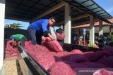 HIBAHKAN BAWANG MERAH IMPOR UNTUK DAYAH. Petugas memuat bawang merah impor ilegal ke mobil barang saat dihibahkan kepada sejumlah dayah di Kanwil Bea Cukai, Banda Aceh, Aceh, Kamis (18/3/2021). Kanwil Bea Cukai Aceh menghibahkan sebanyak 17 ton bawang merah impor ilegal hasil penangkapan di Aceh Utara setelah uji layak konsumsi kepada sejumlah dayah di Aceh. ANTARA FOTO/Ampelsa.