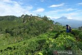 Pemkab Kulon Progo membenahi jalan menuju Borobudur Highland Samigaluh