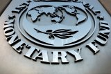 Fitch sebut dorongan IMF pada cadangan negara bukan obat mujarab bagi utang