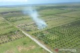 Kepulan asap terlihat dari lahan perkebunan yang dibakar, di Kabupaten Ketapang, Kalbar, Sabtu (20/3/2021). Dari hasil pantauan Satgas Udara BPBD Kalbar dengan menggunakan Cessna 208B Caravan tersebut terpantau adanya titik api di Kabupaten Ketapang itu berasal dari pembakaran lahan perkebunan sawit. ANTARA KALBAR/Dokumen BNPB