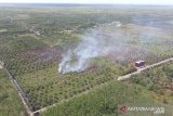 Kepulan asap terlihat dari lahan perkebunan yang dibakar, di Kabupaten Ketapang, Kalbar, Sabtu (20/3/2021). Dari hasil pantauan Satgas Udara BPBD Kalbar dengan menggunakan Cessna 208B Caravan tersebut terpantau adanya titik api di Kabupaten Ketapang itu berasal dari pembakaran lahan perkebunan sawit. ANTARA KALBAR/Dokumen BNPB