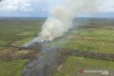 Kepulan asap terlihat dari lahan perkebunan yang dibakar, di Kabupaten Ketapang, Kalbar, Sabtu (20/3/2021). Dari hasil pantauan Satgas Udara BPBD Kalbar dengan menggunakan Cessna 208B Caravan tersebut terpantau adanya titik api di Kabupaten Ketapang itu berasal dari pembakaran lahan perkebunan sawit. ANTARA KALBAR/Dokumen BNPB