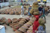 KEBUTUHAN KERANJANG ROTAN UNTUK NELAYAN. Pekerja memindahkan keranjang rotan ke lokasi penjemuran seusai digunakan mengangkut hasil tangkapan ikan di terminal Pelabuhan Perikanan Samudera, Lampulo, Banda Aceh, Senin (22/3/2021). Kelompok jasa sewa keranjang menyatakan, setiap hari membutuhkan sebanyak 1.000 hingga 1.500 keranjang untuk kebutuhan nelayan, sedangkan persediaan hanya sekitar 800 keranjang karena akhir akhir ini pasokan dari industri perajin rotan berkurang dan selain harganya juga naik dari Rp50.000 menjadi Rp60.000 per keranjang. ANTARA FOTO/Ampelsa.