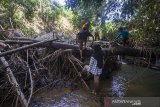 Wisatawan menyisir sungai saat menuju ke air terjun riam rampah tarawi di Kecamatan Hantakan, Kabupaten Hulu Sungai Tengah, Kalimantan Selatan, Selasa (23/3/2021). Kabupaten Hulu Sungai Tengah memiliki berbagai potensi daya tarik wisata salah satunya air terjun riam rampah terawi yang berada di dalam hutan Pegunungan Meratus yang menawarkan keindahan alam yang masih asri. Foto Antaranews Kalsel/Bayu Pratama S.