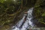 Wisatawan menikmati air terjun riam rampah tarawi di Kecamatan Hantakan, Kabupaten Hulu Sungai Tengah, Kalimantan Selatan, Selasa (23/3/2021). Kabupaten Hulu Sungai Tengah memiliki berbagai potensi daya tarik wisata salah satunya air terjun riam rampah terawi yang berada di dalam hutan Pegunungan Meratus yang menawarkan keindahan alam yang masih asri. Foto Antaranews Kalsel/Bayu Pratama S.