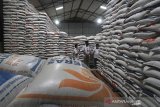 Sejumlah petugas Perum Bulog Cabang Indramayu memeriksa stok beras impor di gudang Bulog Tegalgirang, Bangodua, Indramayu, Jawa Barat, Selasa (23/3/2021). Menurut Perum Bulog Cabang Indramayu stok beras impor 2018 dari Vietnam masih melimpah mencapai 5.000 ton, akibat belum seluruhnya tersalurkan sejak terhentinya program beras miskin (raskin) dan beralih ke program Bantuan Pangan Non Tunai (BPNT). ANTARA JABAR/Dedhez Anggara/agr