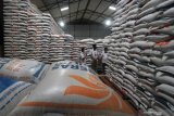 Peneliti: Kebijakan impor  pangan cenderung proteksionis