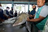 Nelayan melakukan proses lelang ikan tangkapannya pada Fish Market Festival di Pelabuham Muncar, Banyuwangi, Jawa Timur, Kamis (25/3/2021). Festival pasar ikan yang menyuguhkan berbagai olahan, hasil tangkapan nelayan dan budidaya perikanan itu sebagai upaya mengangkat potensi perikanan di Banyuwangi. Antara Jatim/Budi Candra Setya/zk