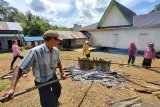 Sejumlah warga menyiapkan lemang saat tradisi membatur di Desa Ajung, Kabupaten Balangan, Kalimantan Selatan, Jumat (26/3/2021). Masyarakat Dayak Pitap menggelar tradisi membatur yang bertujuan untuk membuatkan rumah bagi orang yang telah meninggal dunia. Foto Antaranews Kalsel/Bayu Pratama S.