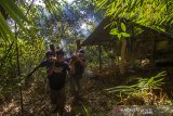 Sejumlah warga bergotong royong memikul rumah untuk di bawa ke makam saat tradisi membatur di Desa Ajung, Kabupaten Balangan, Kalimantan Selatan, Jumat (26/3/2021). Masyarakat Dayak Pitap menggelar tradisi membatur yang bertujuan untuk membuatkan rumah bagi orang yang telah meninggal dunia. Foto Antaranews Kalsel/Bayu Pratama S.