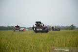 Menteri Pertanian (Mentan), Syahrul Yasin Limpo (tengah) memanen padi menggunakan mesin combine harvester saat panen raya di Desa Kedungrejo, Kecamatan Megaluh, Kabupaten Jombang, Jawa Timur, Sabtu (27/3/2021). Mentan menegaskan gabah petani harus dibeli sesuai dengan HPP (Harga Pokok Penjualan) sesuai yang ditetapkan oleh Peraturan Menteri Perdagangan (Permendag) nomor 24 tahun 2020 sebesar Rp 4.200 per kilogram untuk gabah kering panen (GKP). Antara Jatim/Syaiful Arif/zk