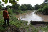 Seorang petugas Badan Penanggulangan Bencana Daerah (BPBD) melihat kondisi tanggul Sungai Jeroan yang longsor di Desa Porworejo, Pilangkenceng, Kabupaten Madiun, Jawa Timur, Minggu (28/3/2021). Menurut petugas, tanggul sungai tersebut mulai mengalami kerusakan sejak beberapa bulan lalu akibat banjir yang terjadi beberapa kali, dan akhirnya longsor ke dasar sungai pada Sabtu (27/3). Antara Jatim/Siswowidodo/zk