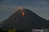 Merapi luncurkan 11 kali guguran lava pijar