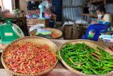 Harga cabai rawit mulai turun