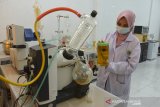 PRODUKSI MINYAK ATSIRI UNTUK PARFUM DIO USKA ACEH. Mahasiswa yang tergabung dalam Atsiri Research Center (ARC) melalukan pengolahan minyak atsiri saat proses produksi menjadi produk parfum di Laboratorium Universitas Syiah Kuala (USK), Banda Aceh, Aceh, Selasa (30/3/20210). Atsiri Research Center Universitas Syiah Kuala yang siap membantu pelaku UMKM di daerah itu memiliki sejumlah produk turunan berbahan baku minyak nilam, salah satunya parfum dengan produksi mencapai 3.000 botol per bulan dan tahun 2021 akan mengekspor sebanyak 10.000 botol parfum untuk memenuhi permintaan Perancis. ANTARA FOTO/Ampelsa.