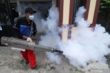 Petugas melakukan pengasapan (fogging) di Desa Kenconowungu, Kediri, Jawa Timur, Senin (29/3/2021). Pengasapan di daerah wabah chikungunya tersebut guna memutus mata rantai perkembangbiakan nyamuk penyebar virus chikungunya saat musim hujan. Antara Jatim/Prasetia Fauzani/zk.