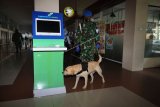 Peningkatan pengamanan bandara
