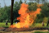 Petugas memeriksa areal sekitar semburan api dari gas liar di Desa Sukaperna, Tukdana, Indramayu, Jawa Barat, Sabtu (3/4/2021). Semburan gas liar yang terbakar itu terjadi sejak lima hari lalu dan diduga bersumber dari sumur peninggalan zaman Belanda yang sudah tidak digunakan. ANTARA FOTO/Dedhez Anggara/nym.