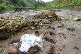 Warga melihat areal persawahan dengan tanaman padi yang rusak akibat banjir di Desa Cermo, Kare, Kabupaten Madiun, Jawa Timur, Jumat (2/4/2021). Banjir Sungai Sekembang mengakibatkan puluhan hektare sawah dengan tanaman padi berumur seminggu hingga dua minggu di tepi aliran sungai tersebut rusak tertimbun lumpur, pasir dan sampah. Antara Jatim/Siswowidodo/zk.