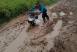Jalan Desa Sumber Makmur di Kabupaten Mesuji rusak parah, becek, licin dan berlumpur