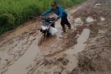 Jalan yang rusak berlumpur di Desa Sumber Makmur, penghubung ke Desa Mulya Sari, Kecamatan Mesuji, Kabupaten Mesuji, Lampung
