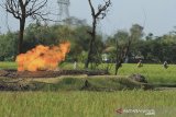 Petugas memeriksa areal sekitar semburan api dari gas liar di desa Sukaperna, Tukdana, Indramayu, Jawa Barat, Sabtu (3/4/2021). Semburan gas liar yang terbakar itu terjadi sejak lima hari lalu dan diduga bersumber dari sumur peninggalan zaman Belanda yang sudah tidak digunakan. ANTARA JABAR/Dedhez Anggara/agr