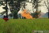 Sejumlah warga mengambil gambar kobaran api dari gas liar di desa Sukaperna, Tukdana, Indramayu, Jawa Barat, Sabtu (3/4/2021). Semburan gas liar yang terbakar itu terjadi sejak lima hari lalu dan diduga bersumber dari sumur peninggalan zaman Belanda yang sudah tidak digunakan. ANTARA JABAR/Dedhez Anggara/agr