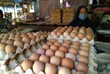 Harga telur ayam ras di Makassar bergerak turun jelang Ramadhan 1442 H