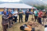 Bupati Jayawijaya dan Dandim 1702 panen ubi jalar di Kampung Sugokmo