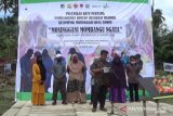 Warga Tompe bangun huntap sendiri dengan konsep rumah tahan gempa