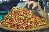 Harga cabai rawit di Nunukan naik lagi jelang Ramadhan