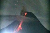 Gunung Merapi uncurkan awan panas guguran tiga kali hingga 1,8 km