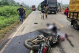 Suami istri tewas setelah motornya menabrak truk pengangkut sawit di Jalinsum