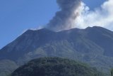 Gunung Ili Lewotolok NTT erupsi setinggi 1.000 meter
