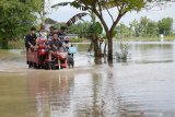 Pengemudi motor gerobak roda tiga mengangkut sejumlah orang dan sepeda motornya dengan ongkos Rp10.000 per motor termasuk pemiliknya menerobos jalan yang terendam banjir di Desa Purwosari, Kwadungan, Ngawi, Jawa Timur, Rabu (15/4/2021). Banjir luapan Sungai Madiun merendam sejumlah desa di wilayah tersebut dan mengakibatkan sejumlah ruas jalan serta puluhan hektare sawah yang memasuki musim tanam padi terendam. Antara Jatim/Siswowidodo/zk