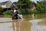 Pengendara menerobos jalan yang terendam banjir di Desa Simo, Kwadungan, Ngawi, Jawa Timur, Rabu (15/4/2021). Banjir luapan Sungai Madiun merendam sejumlah desa di wilayah tersebut dan mengakibatkan sejumlah ruas jalan serta puluhan hektare sawah yang memasuki musim tanam padi terendam. Antara Jatim/Siswowidodo/zk