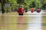 Sejumlah warga menerobos jalan yang terendam banjir di Desa Jerukgulung, Balerejo, Kabupaten Madiun, Jawa Timur, Kamis (15/4/2021). Sejumlah desa di empat kecamatan di Kabupaten Madiun terendam banjir luapan Sungai Jeroan akibat hujan deras Rabu (14/4) sore hingga malam. ANTARA FOTO/Siswowidodo/aww.