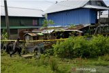 Penggerebekan terduga teroris di Makassar