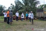 Produksi sawit PTPN XIV alami tren positif