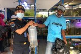 KKP amankan sebanyak 24