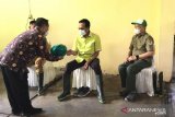 Gubernur DIY siap bantu pabrik penyulingan kayu putih Gunung Kidul