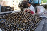 Bisnis kolang kaling di Lampung stabil di masa pandemi COVID-19