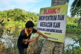 Cegah konflik dengan buaya, Pemuda Masang Timur pasang spanduk larangan menyentrum ikan