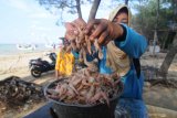 Warga menimbang udang di Pantai Jumiang, Pamekasan, Jawa Timur, Minggu (25/4/2021). Kementerian Kelautan dan Perikanan (KKP) membidik peluang pasar ekspor udang dari volume saat ini 857 ribu ton menjadi dua juta ton per tahun pada tahun 2024. Antara Jatim/Saiful Bahri/zk.